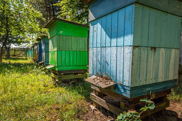 Alveari ecologici in campagna, Polonia in estate — Foto Stock
