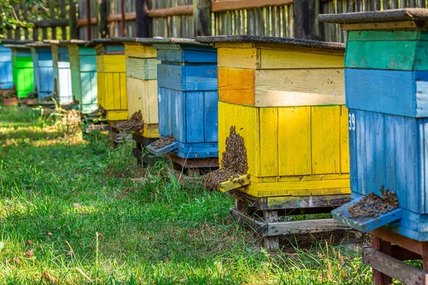 Velho apiário no campo, Polônia no verão — Fotografia de Stock