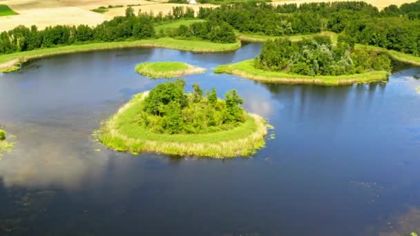 Stunning blue lake and green forest in summer, aerial view — Stock Video