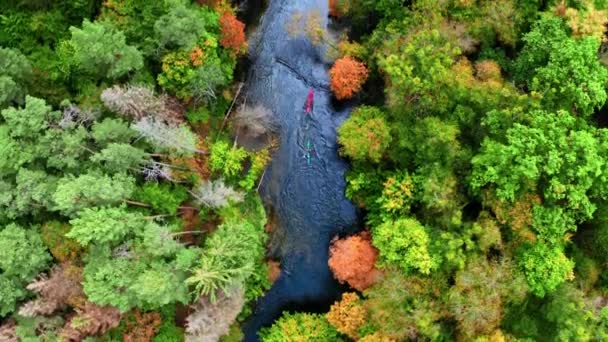 Top kilátás Kayaking a folyón őszi erdőben — Stock videók