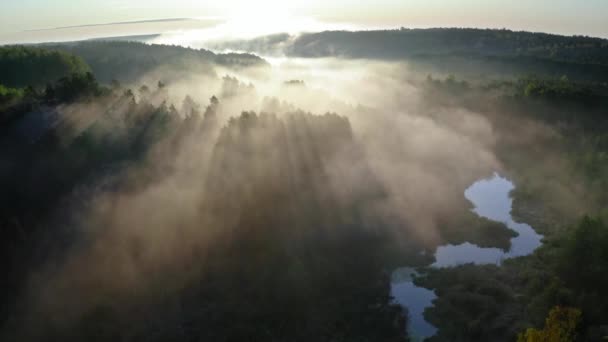 日の出の光線で川の上に霧、空中ビュー — ストック動画