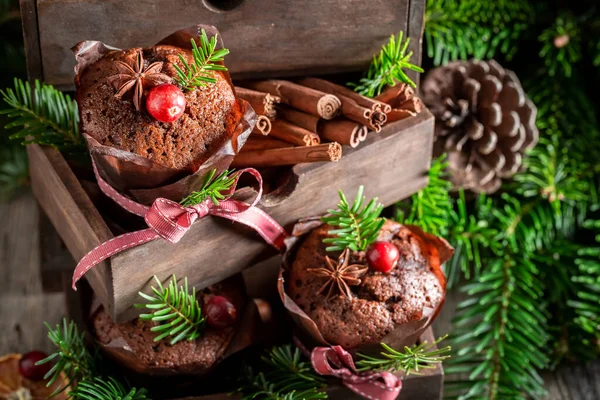 Närbild av pepparkaksmuffins till jul dekorerade med gran — Stockfoto