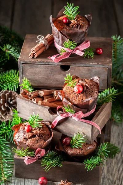 Encantadoras magdalenas de jengibre para Navidad con arándano y cinta — Foto de Stock