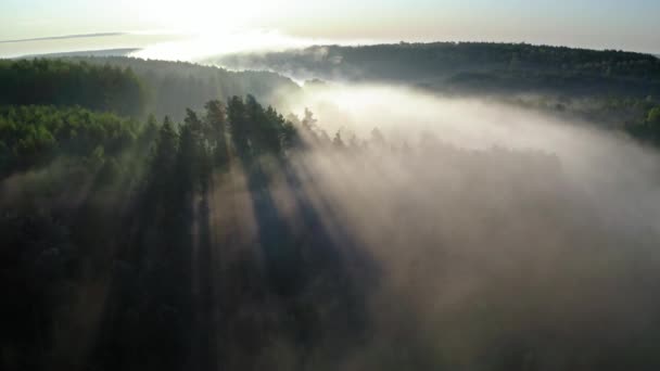 Mist over de rivier met zonnestralen bij zonsopgang, vanuit de lucht gezien — Stockvideo