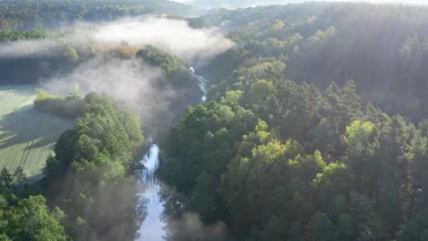 Туман над річкою під час холодного сходу сонця, вид з повітря — стокове відео