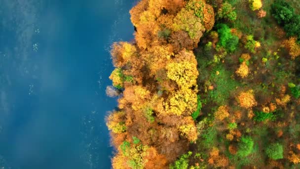 Bovenaanzicht van de rivier in de herfst, vanuit de lucht — Stockvideo