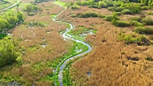 Küçük nehir ve bataklıkların havadan görünüşü, Polonya — Stok video