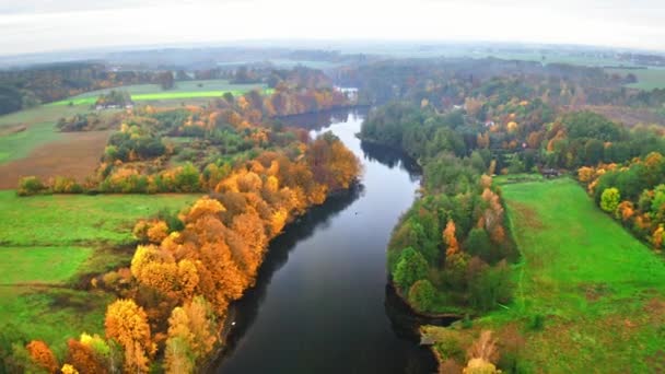 Orman ve sonbahar nehri, yukarıdan manzara — Stok video