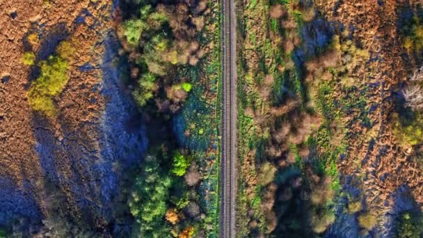 Flygfoto över järnvägen i höstskogen vid soluppgången — Stockvideo