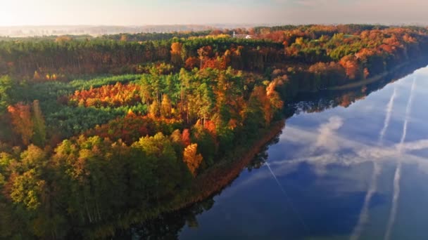 Mavi göl ve sonbahar ormanının havadan görünüşü — Stok video