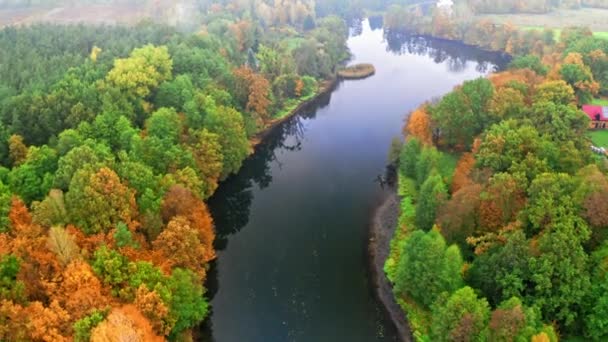 Rzeka i żółty jesienny las, widok z góry, Polska — Wideo stockowe