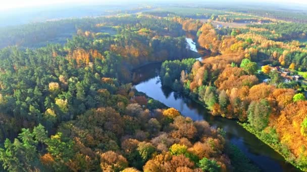 Lenyűgöző légi kilátás őszi erdő és a kék folyó — Stock videók