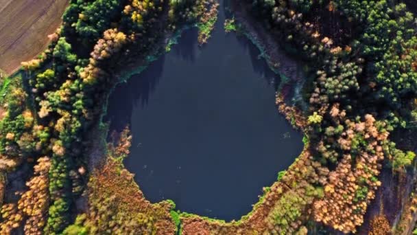 Vista de arriba hacia abajo del lago y el bosque en otoño, Europa — Vídeo de stock
