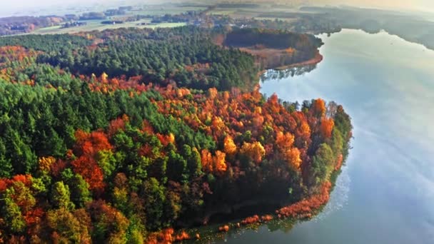 Sokszínű őszi erdő a napsütéses napokon, Lengyelország — Stock videók