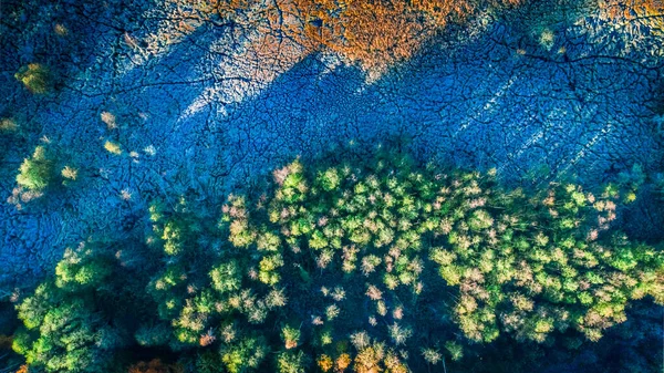 Aerial View Frozen Swamps Autumn Poland — Stock Photo, Image