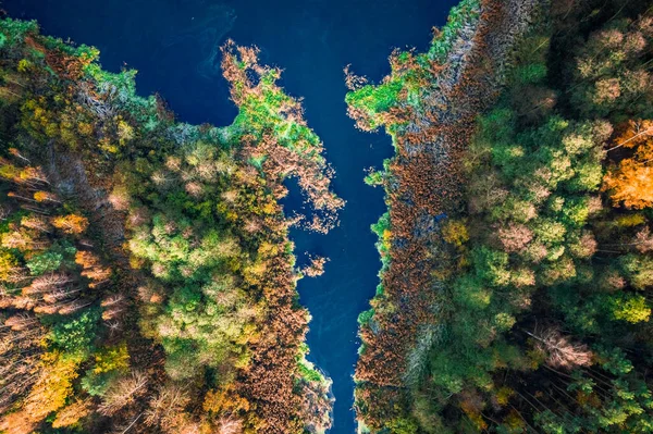 Вид Повітря Озеро Ліс Восени — стокове фото