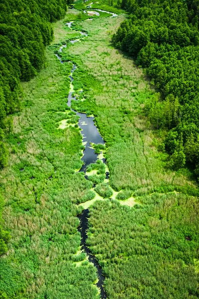 Increíble Bosque Verde Río Primavera Vista Aérea —  Fotos de Stock