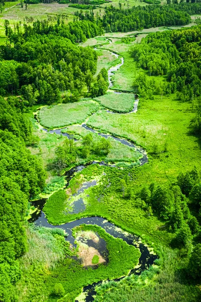 Schöne Grüne Wälder Und Der Fluss Frühling Fliegen Über — Stockfoto