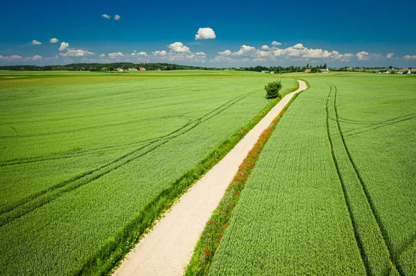 Flying Rural Green Field Country Road Poland — Stock Photo, Image