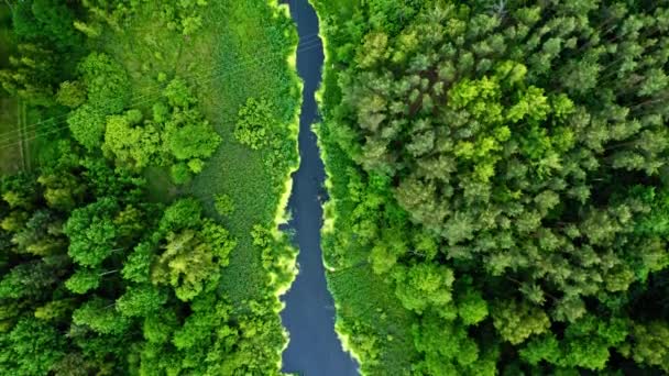 Horní pohled na krásný zelený les a modrou řeku — Stock video