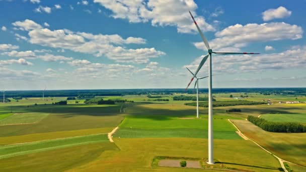 Eoliennes et champ vert en journée d'été, Europe — Video