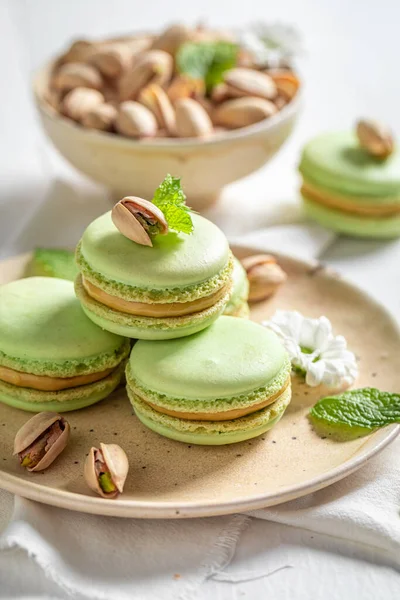 Yummy Pistachio Macaroons Tasty Small Snack — Stock Photo, Image