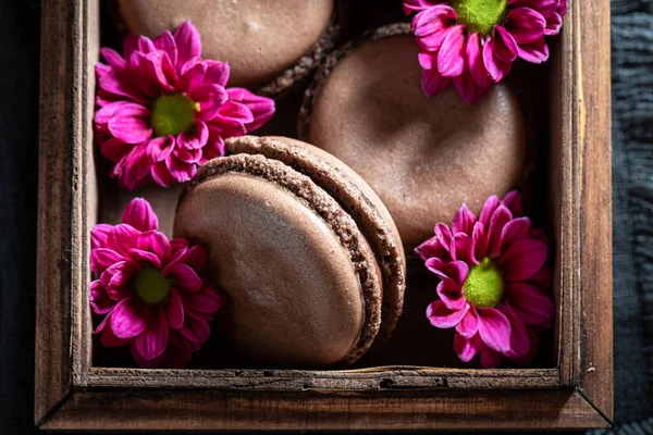 Delicious Chocolate Macaroons Tasty Small Snack — Stock Photo, Image