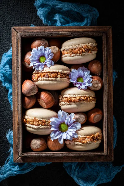 Yummy Hazelnut Macaroons Sweet Small Snack — Stock Photo, Image