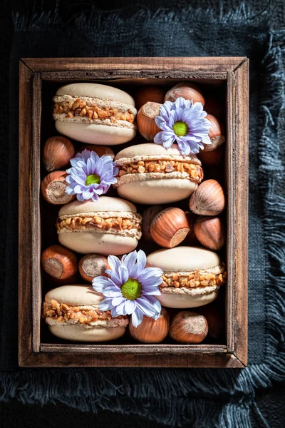 Macarons Noisettes Savoureux Comme Une Petite Collation Sucrée — Photo