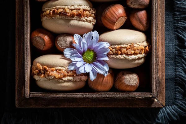 Lekkere Hazelnoot Macarons Als Smakelijk Dessert — Stockfoto