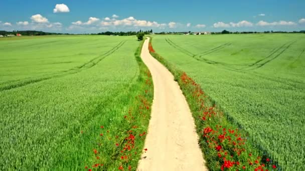 Luchtfoto van groen veld en landweg op het platteland — Stockvideo
