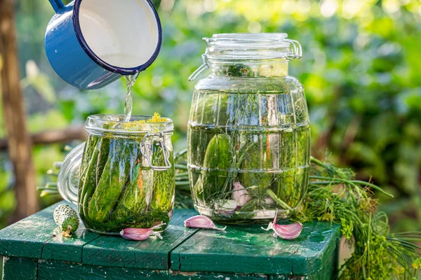 Preserving Fresh Pickled Cucumbers Garden — Stock Photo, Image