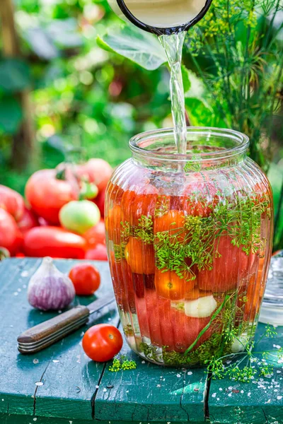 Pouring Water Pickled Tomatoes Garden — Stock Photo, Image