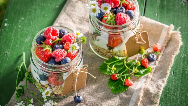 Tasty Muesli Berry Fruits Yogurt Summer — Stock Photo, Image