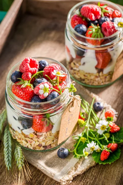 Muesli Yogurt Berries Summer Garden — Stock Photo, Image