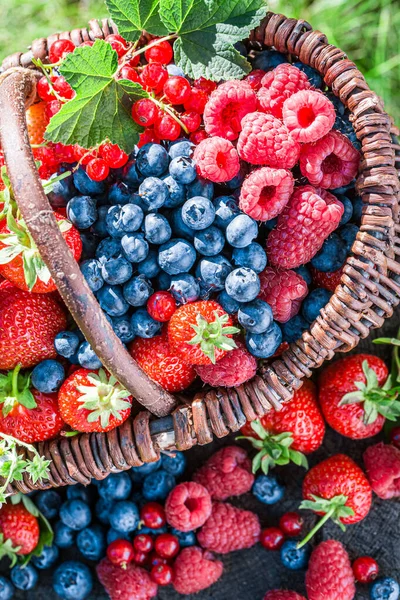 Primer Plano Cesta Llena Frutas Bayas Jardín —  Fotos de Stock