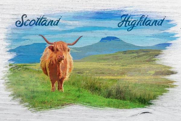 Pintura Aquarela Vaca Das Terras Altas Ilha Skye Escócia — Fotografia de Stock