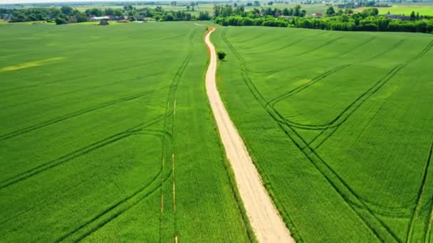 Vista aérea da estrada de pequeno país entre campos verdes — Vídeo de Stock