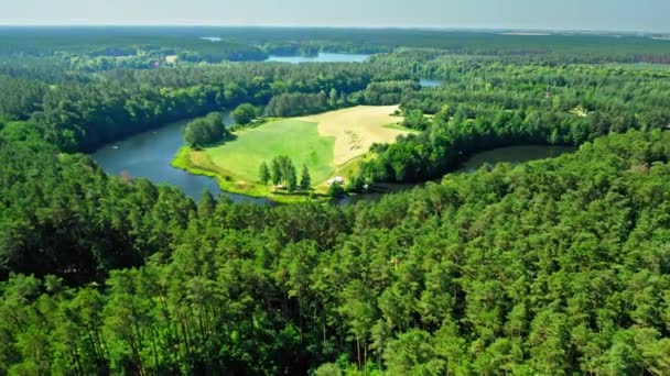 Grande fiume che ritorna tra le foreste nella foresta, Zalew Koronowski — Video Stock