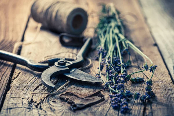 Fresh Aromatic Lavender Wooden Table Summer — Stock Photo, Image