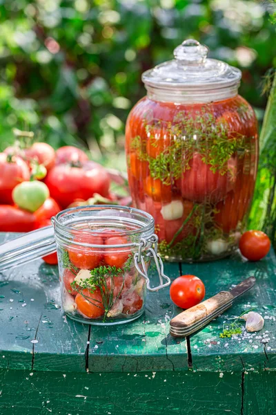 Closeup Pickled Tomatoes Summer Garden — Stock Photo, Image