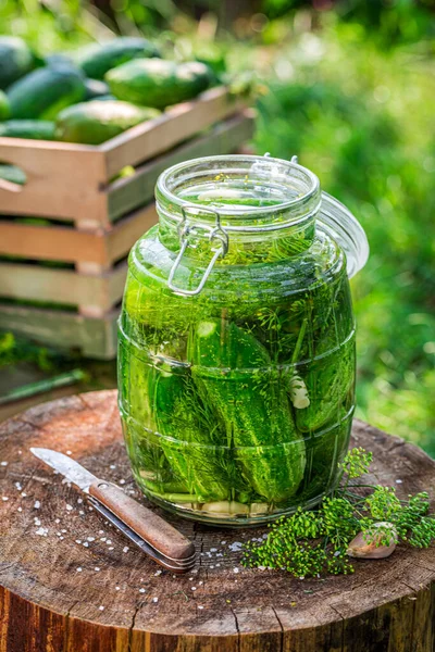 Närbild Inlagd Gurka Burken Trädgården — Stockfoto