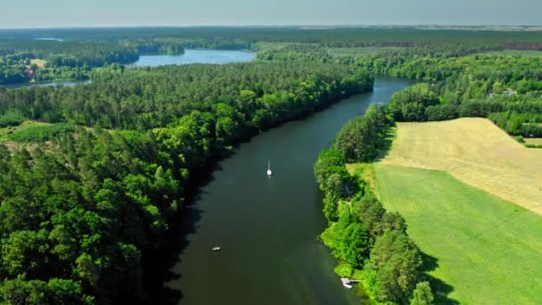 Маленький білий човен на великій річці серед лісів (Польща). — стокове відео