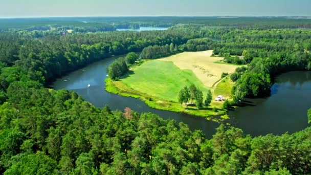 Kleine witte boot op de rivier tussen de bossen, Polen — Stockvideo