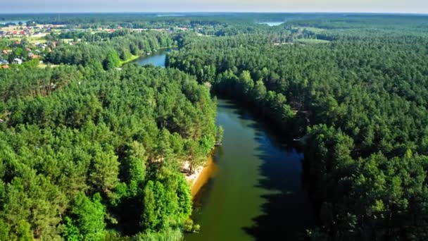 波兰Zalew Koronowski的森林和河流 — 图库视频影像