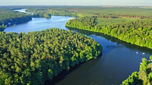Kék folyó és zöld erdők Lengyelországban — Stock videók