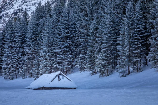 Couvert Par Neige Chalet Bois Dans Montagne Tatra Hiver Pologne — Photo