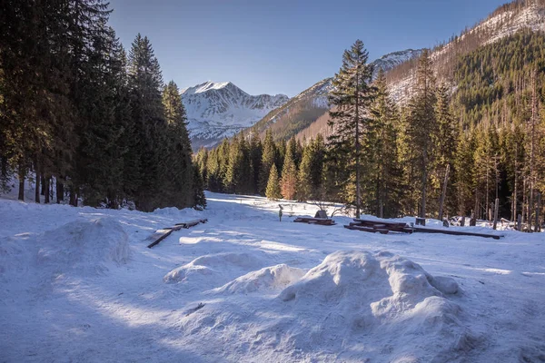 Impresionante Camino Congelado Bosque Valle Koscieliska Invierno Polonia — Foto de Stock