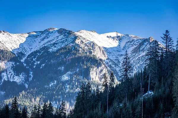 Berg Toppar Och Skog Förresten Till Morskie Oko Polen — Stockfoto