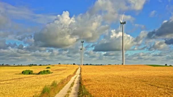 Turbiny wiatrowe na złotym polu, widok z lotu ptaka — Wideo stockowe